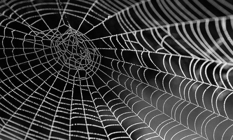 How to Think About Content Marketing Through The Metaphor of a Web